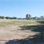 Auditorium Shores