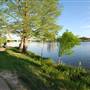 Hike & Bike Trail at Lady Bird Lake