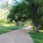 Hike & Bike Trail at Lady Bird Lake