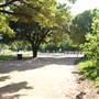 Hike & Bike Trail at Lady Bird Lake