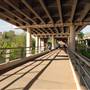 Hike & Bike Trail at Lady Bird Lake