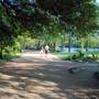 Hike & Bike Trail at Lady Bird Lake