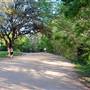 Hike & Bike Trail at Lady Bird Lake