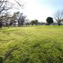 Zilker Metropolitan Park