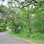 Phil Hardberger Park