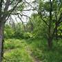 Phil Hardberger Park