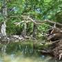 McKinney Falls State Park
