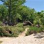 McKinney Falls State Park