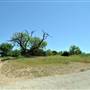 McKinney Falls State Park