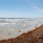 Stewart Beach