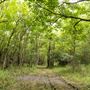 The Oaks of Anahuac