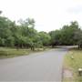 McAllister Park