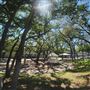 Gruene River Hotel & Retreat