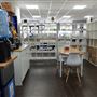 Senate Avenue Pharmacy