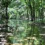 Clear Creek Natural Heritage Center