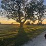 Evans Ranch