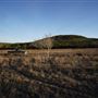 Four Winns Ranch
