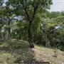 Riva Ridge