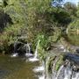 Hamilton Greenbelt Park