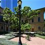 Julia Ideson Building - Houston Public Library