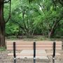 Bill Allen Memorial Park