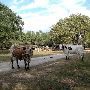 Enchanted Springs Ranch