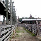Stockyards Station - Cowtown Cattlepen Maze