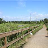 Seabrook Hike & Bike Trails