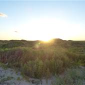 Bryan Beach