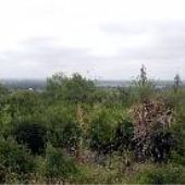 Medina River Valley near Castroville