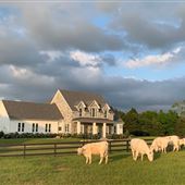 Thistle Hill Ranch