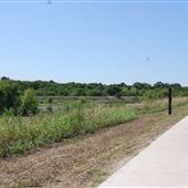 Lone Star Trail