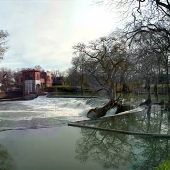 Max Starke Park