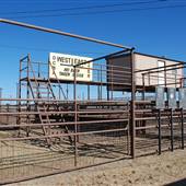 San Angelo Stock Show & Rodeo: Fairgrounds
