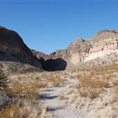 Big Bend National Park - Burro Mesa Canyon