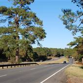 HWY 21 (East of Bastrop)