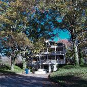 Jhune House
