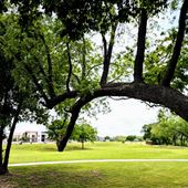 Kings Gate Park