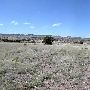 Kokernot o6 Ranch