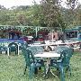 Ski Shores Cafe