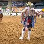 Stockyards Station - Cowtown Colliseum