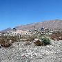 Asarco (American Smelting and Refining Company) - Smelter Cemetery