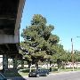Lincoln Park