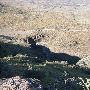 Cibolo Creek Ranch