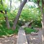 Fort Worth Botanic Garden - Japanese Garden