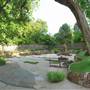 Fort Worth Botanic Garden - Japanese Garden