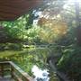Fort Worth Botanic Garden - Japanese Garden