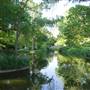 Fort Worth Botanic Garden - Japanese Garden
