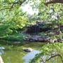 Fort Worth Botanic Garden - Japanese Garden