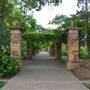 Fort Worth Botanic Garden - Rose Garden